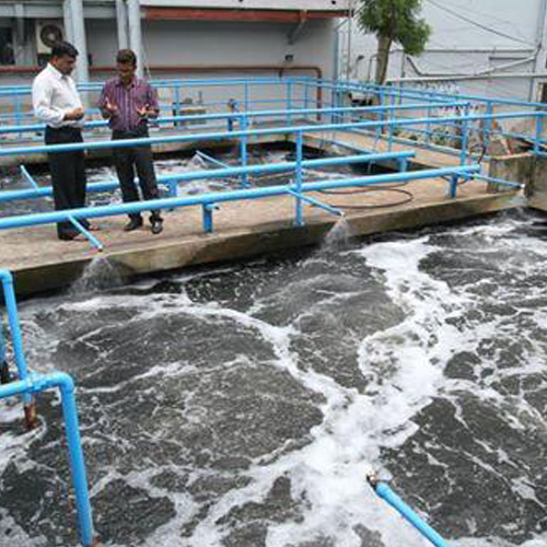 Consultancy and Audit